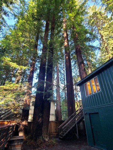 Vacation Rentals (United States of America, Guerneville, California)