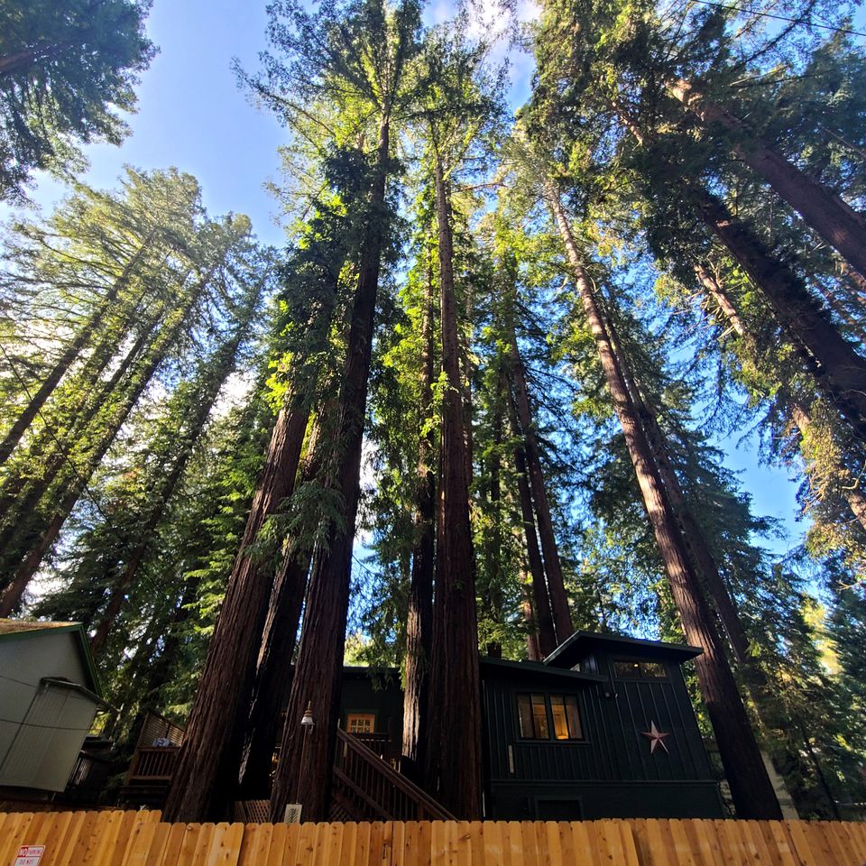 Modern Guerneville Rental for a Weekend Getaway from San Francisco