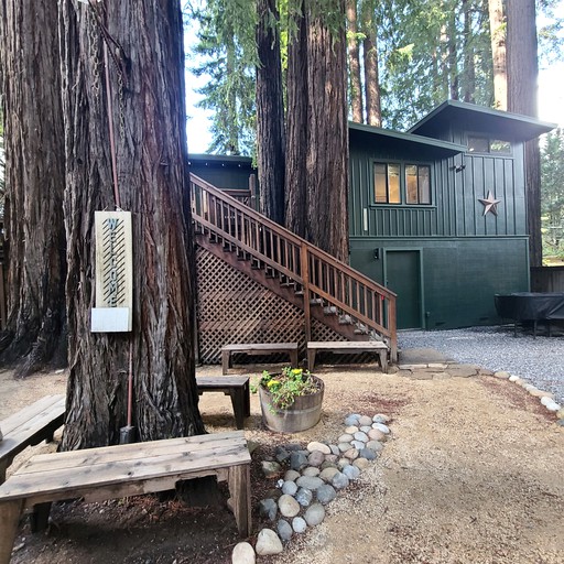 Cabin surrounded by nature for things to do in Guerneville