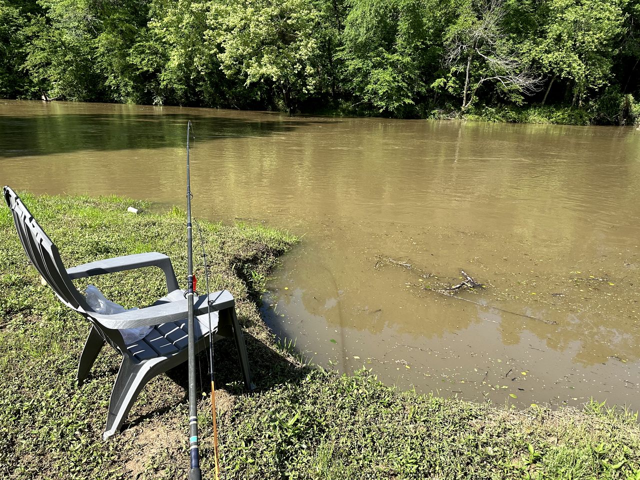 Pet Friendly Cabin with Fire Pit in Murfreesboro, Arkansas