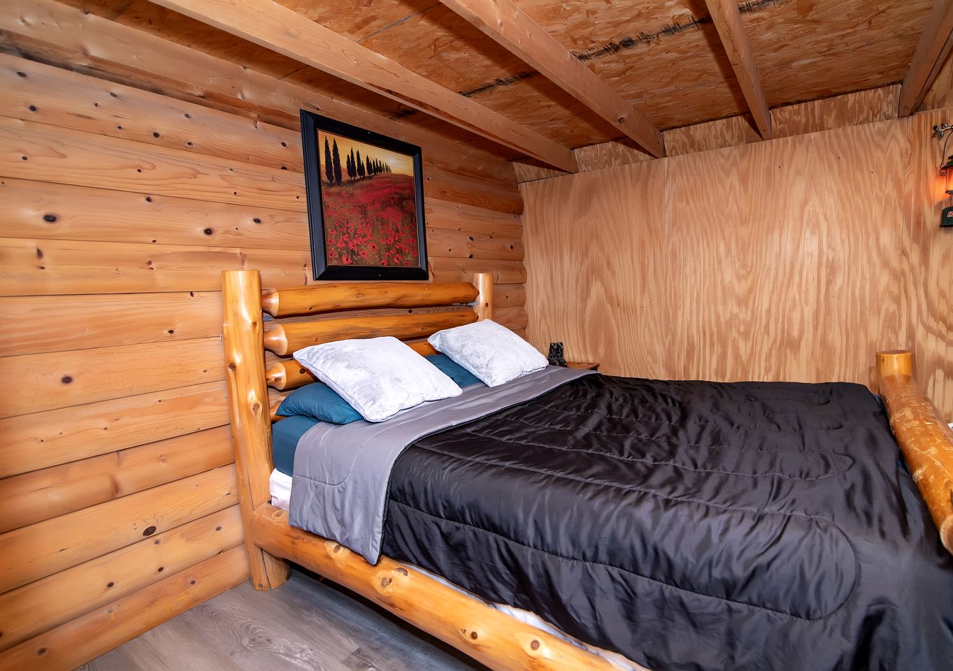 Pet Friendly Cabin with Fire Pit in Murfreesboro, Arkansas