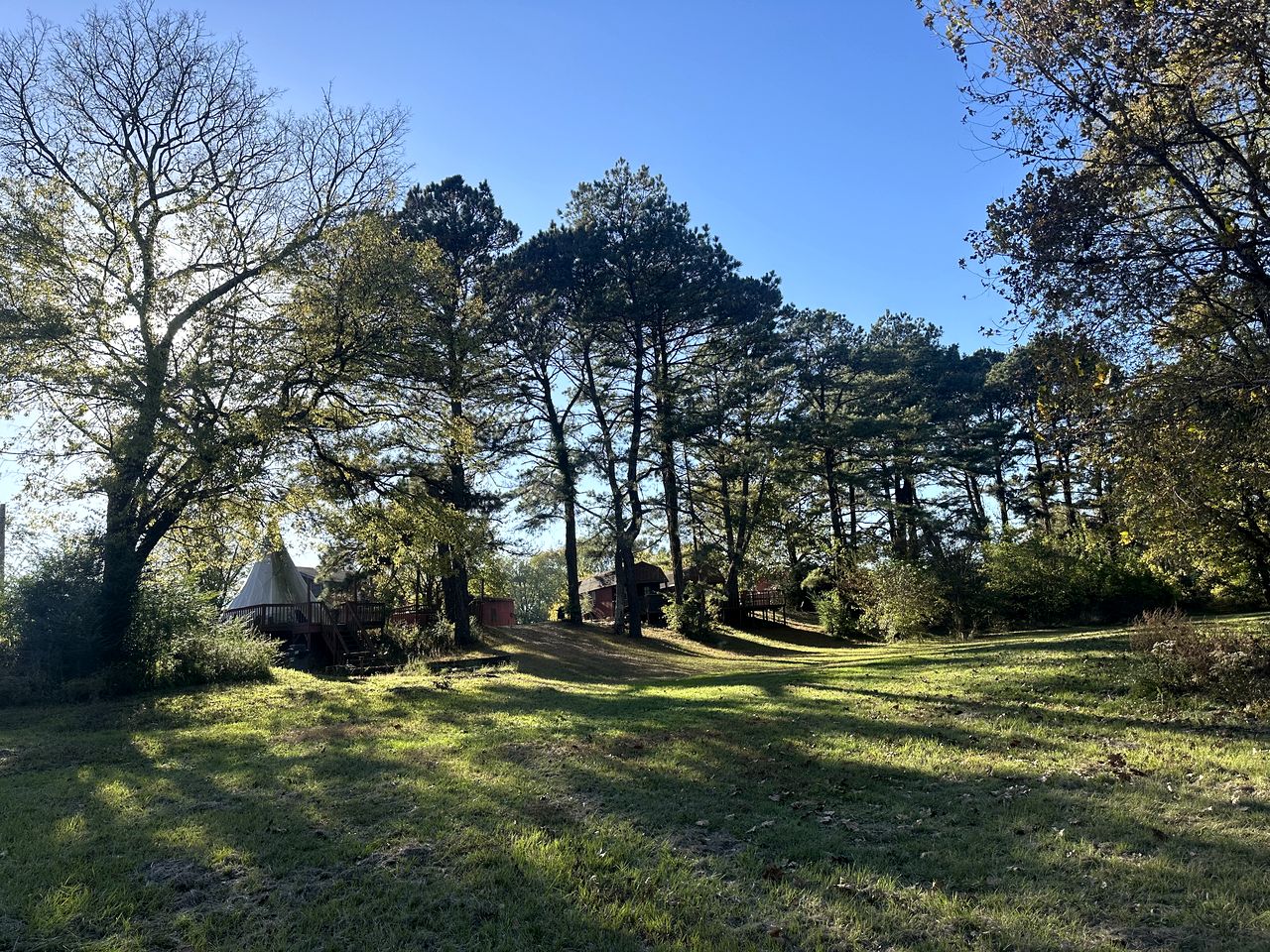 Heavenly Cabin Placed Between Trees in Murfreesboro, Arkansas