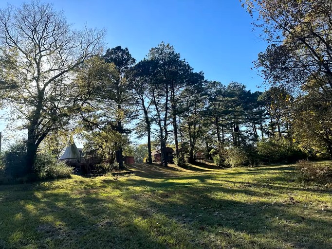 Tree Houses (United States of America, Murfreesboro, Arkansas)