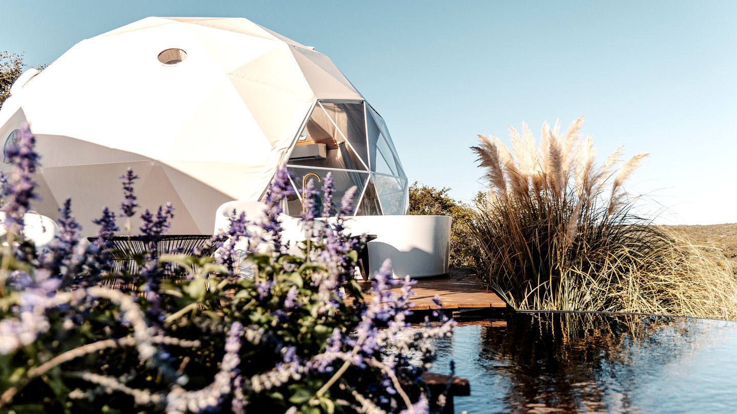 Breathtaking Dome with Spectacular Outdoor Living and Chic Elegant Interior in Texas