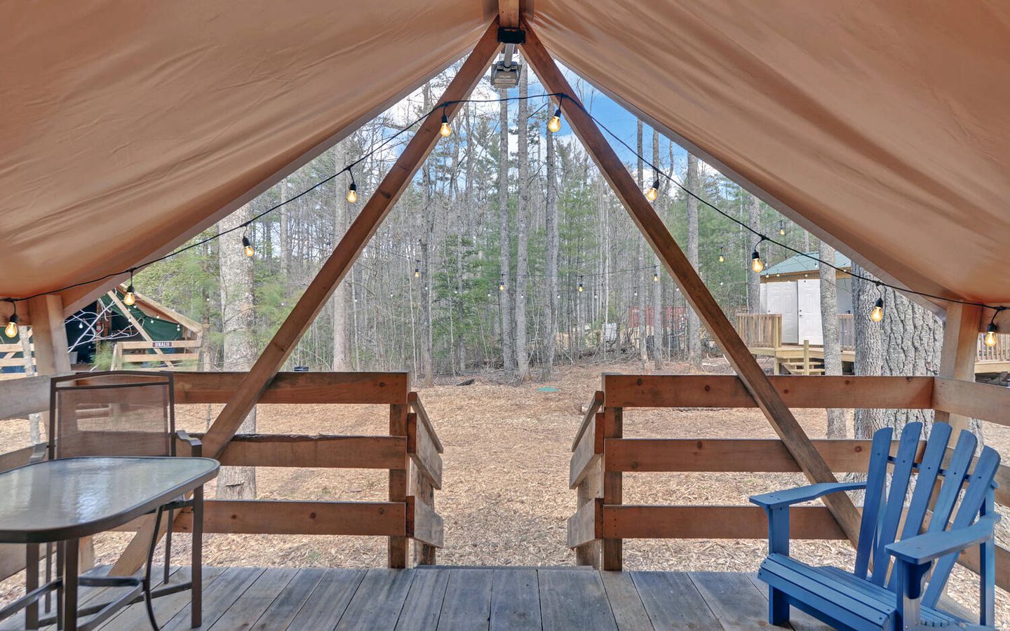 Discover the Best Glamping in Georgia with a Stay in This Safari Tent