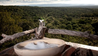 Discover Exotic, African Wildlife near Johannesburg, South Africa photo 5
