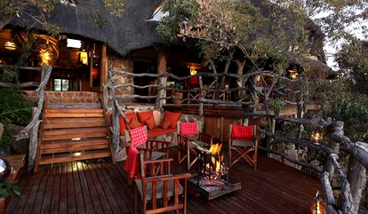 Discover Exotic, African Wildlife near Johannesburg, South Africa photo 4