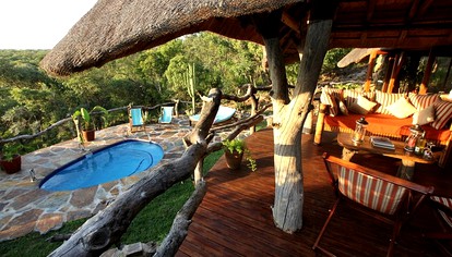 Discover Exotic, African Wildlife near Johannesburg, South Africa photo 3