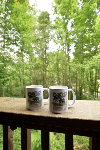 Cabins (United States of America, Sevierville, Tennessee)
