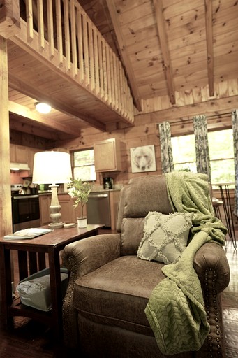 Cabins (United States of America, Sevierville, Tennessee)