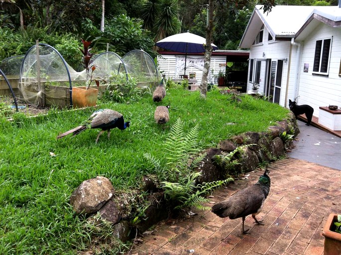 Yurts (Lismore, New South Wales, Australia)