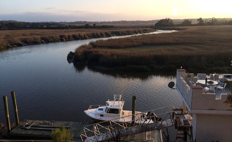 Pet Friendly St Simons Island Pet Friendly St Simons Island