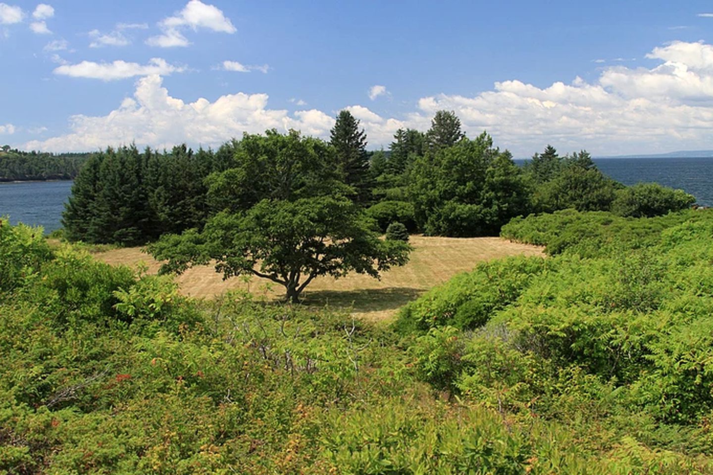 Private Island Rental off the Coast of Camden, Maine