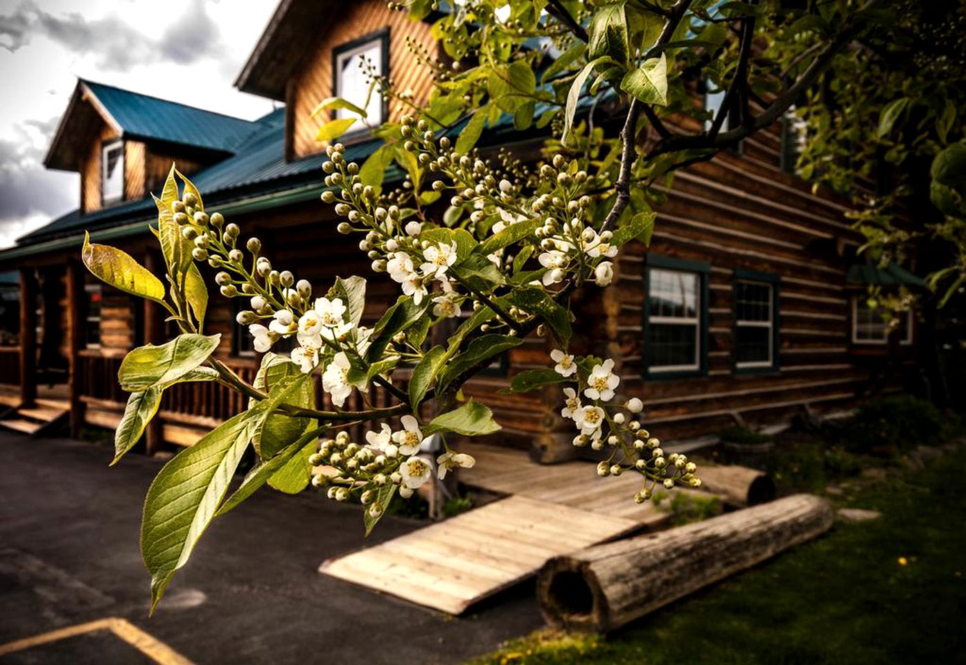 Spacious Vacation Suite in Log Cabin Lodge in Boundary County, Northern Idaho