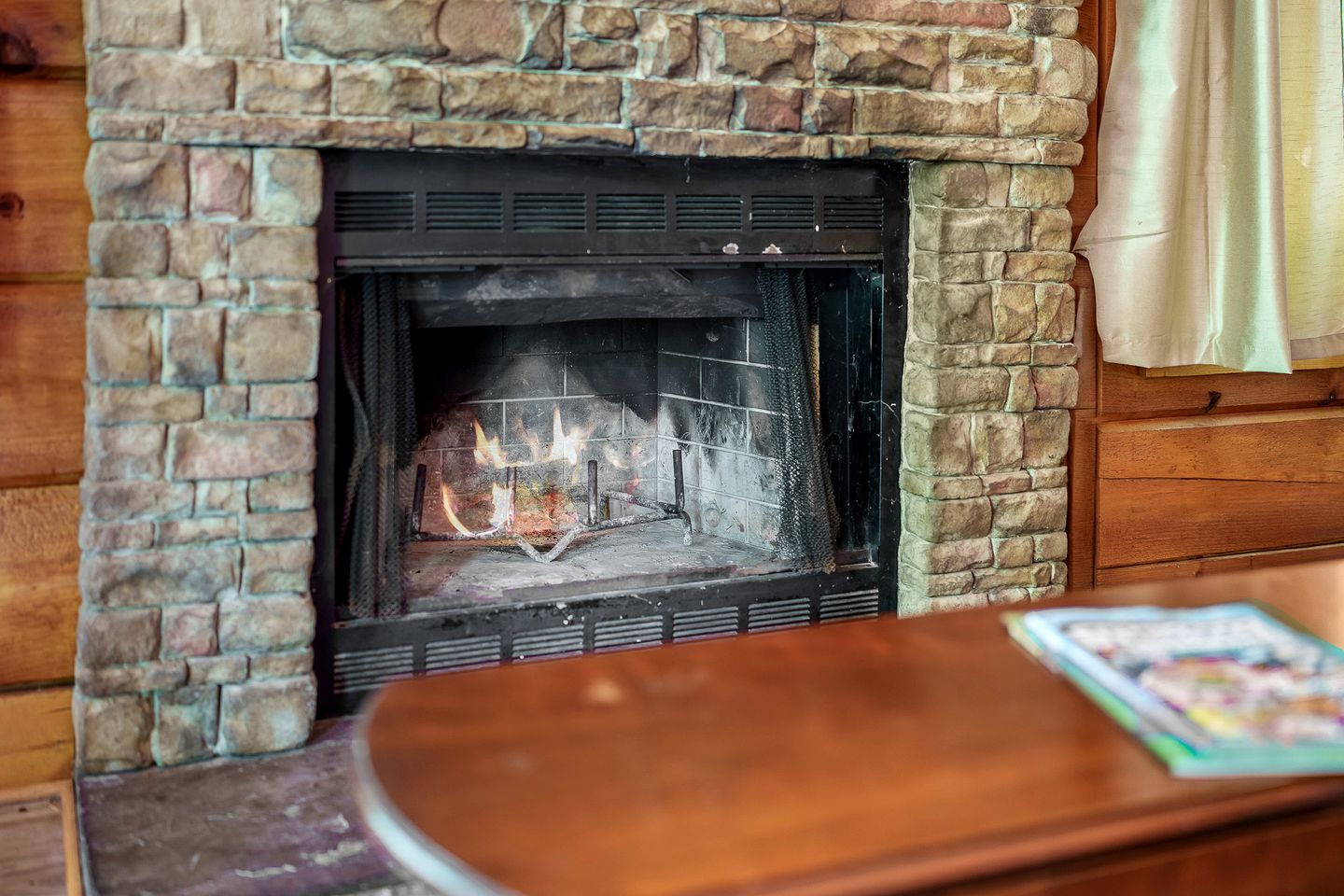 Dog-Friendly Cabin with Indoor Jacuzzi in Sevierville, Tennessee