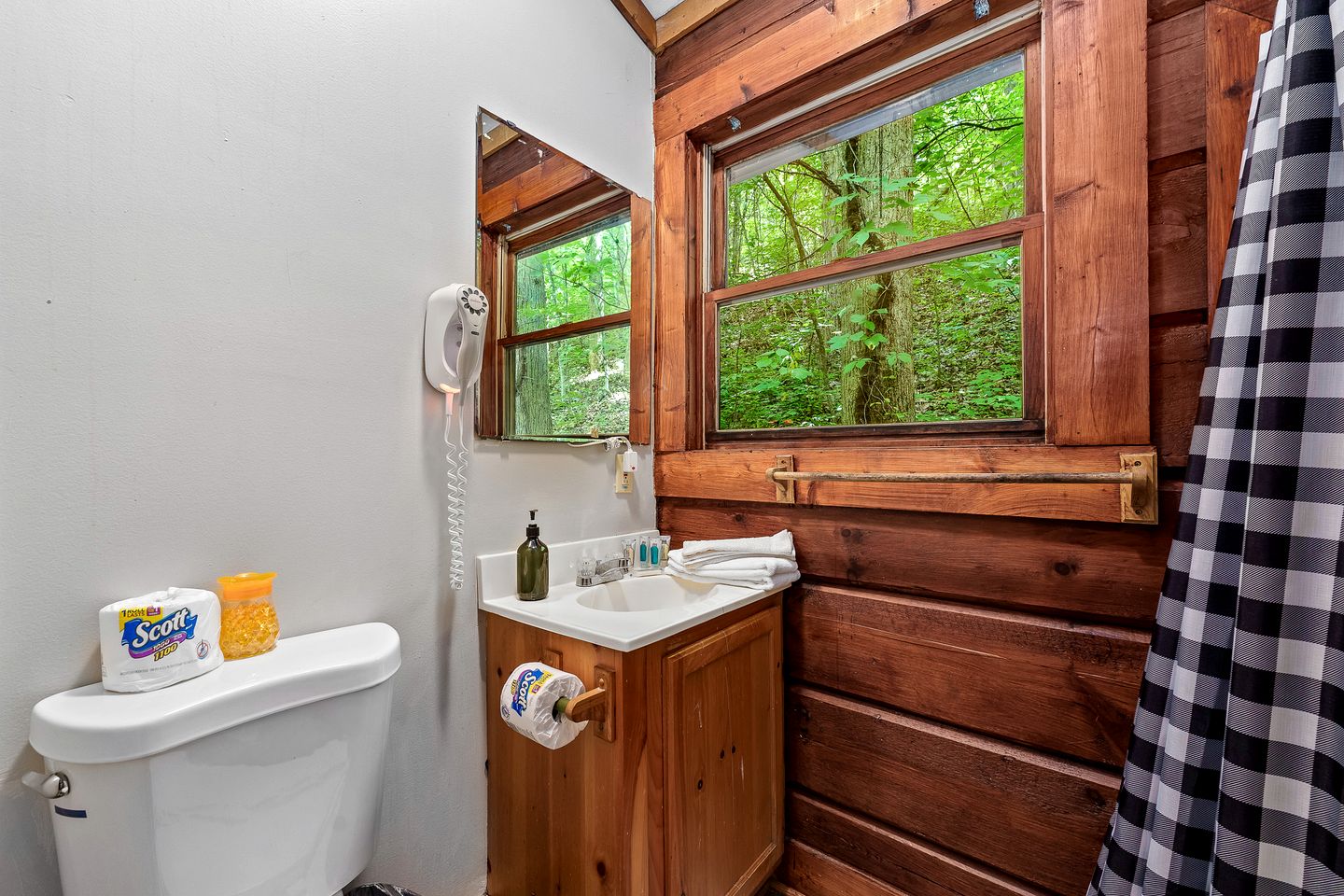 Dog-Friendly Cabin with Indoor Jacuzzi in Sevierville, Tennessee