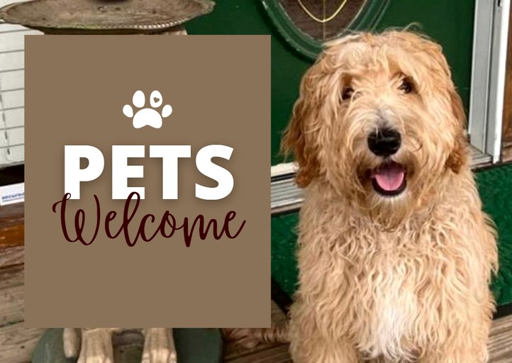 Cabins (United States of America, Sevierville, Tennessee)