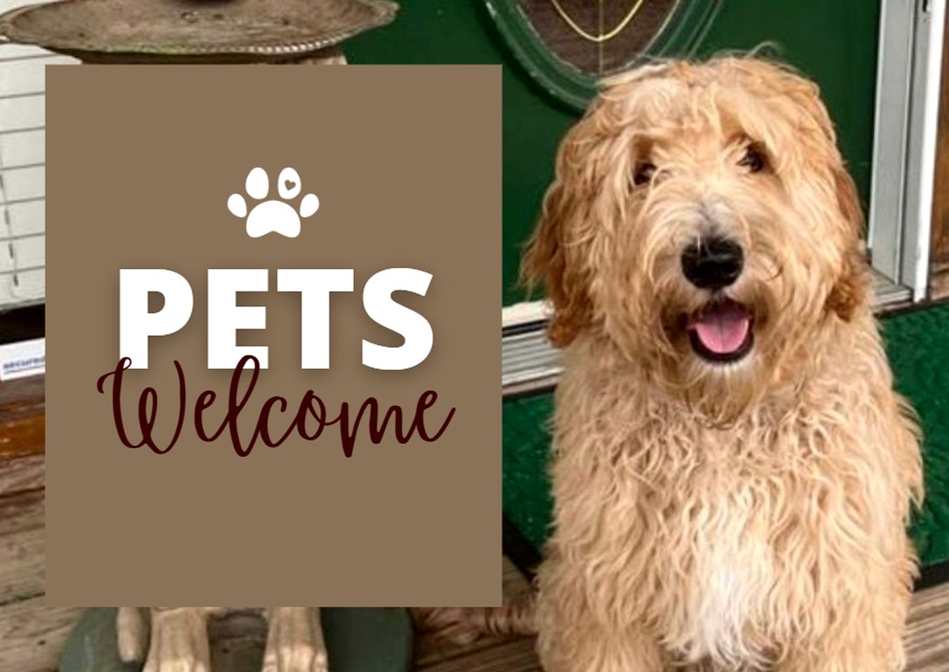 Dog-Friendly Cabin with Indoor Jacuzzi in Sevierville, Tennessee