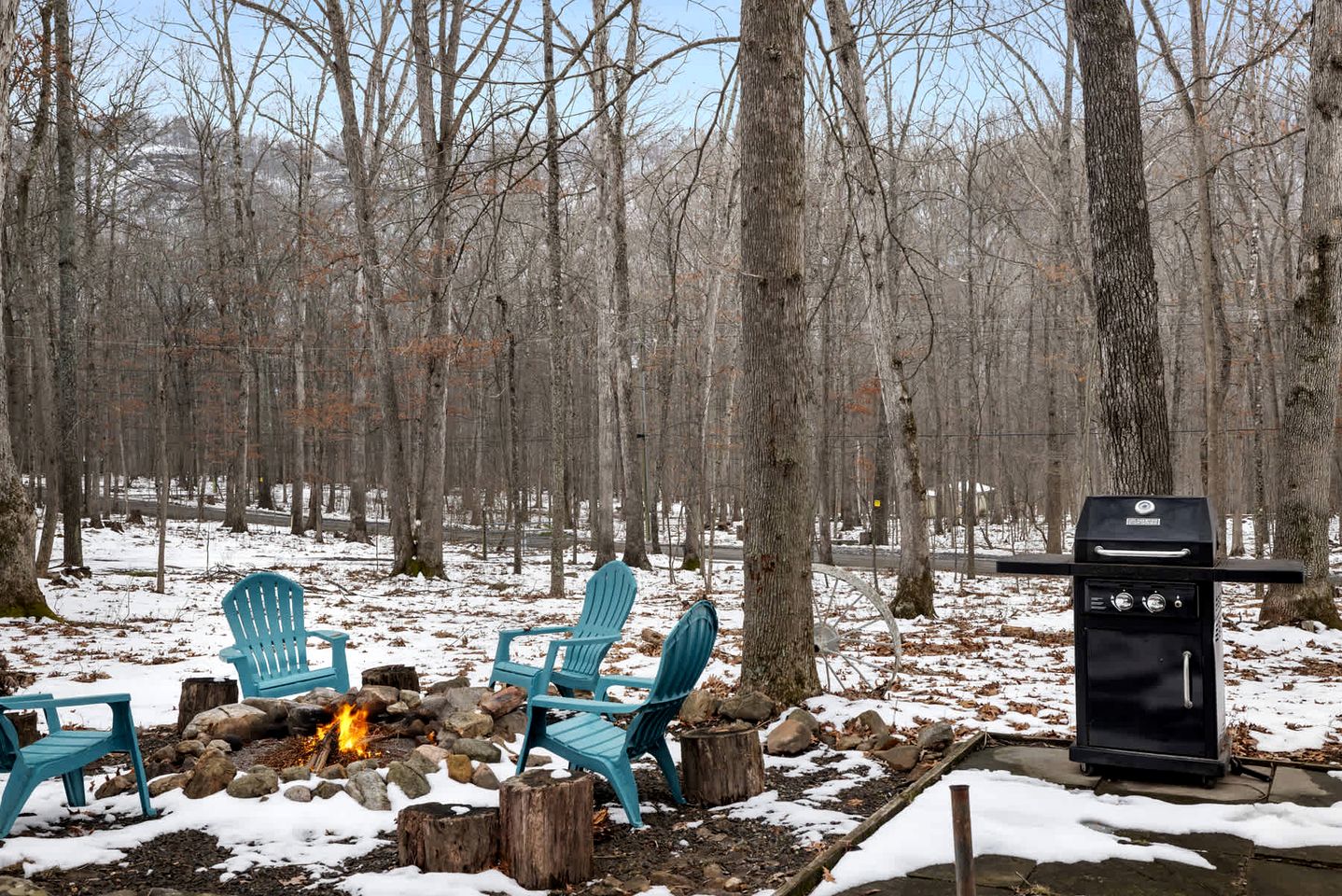 Dog Friendly Cabin with a Wood Burning Stove, Screened-In Porch, and River Access near Cacapon Resort State Park, WV