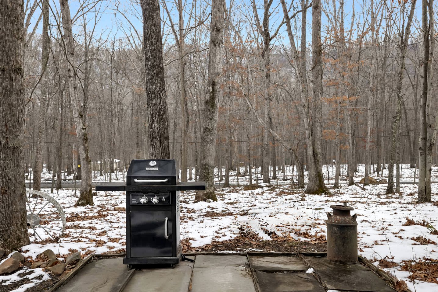 Dog Friendly Cabin with a Wood Burning Stove, Screened-In Porch, and River Access near Cacapon Resort State Park, WV