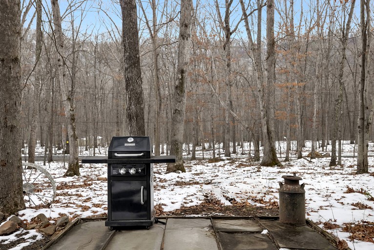 Vacation Rentals (United States of America, Great Cacapon, West Virginia)