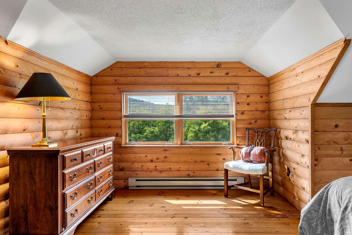 Rustic-Modern Mountain Cabin with Private Pond & Fire Pit Near Lost River, Baker, West Virginia