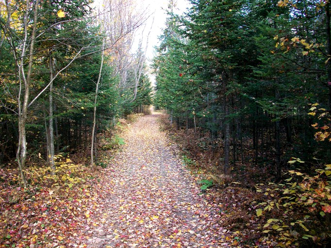 Log Cabins (Clarence Creek, Ontario, Canada)