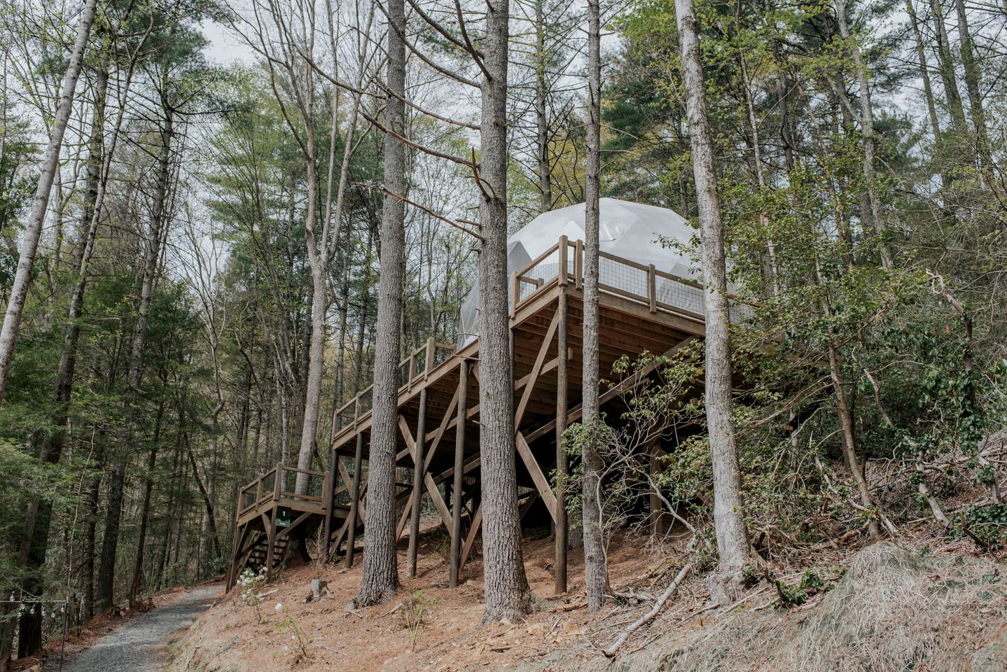 Unmatched Views Await You at this Cherry Log, Georgia Designer Dome near Fall Branch Falls