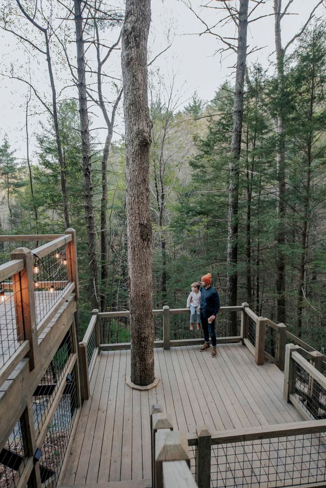 Unmatched Views Await You at this Cherry Log, Georgia Designer Dome near Fall Branch Falls