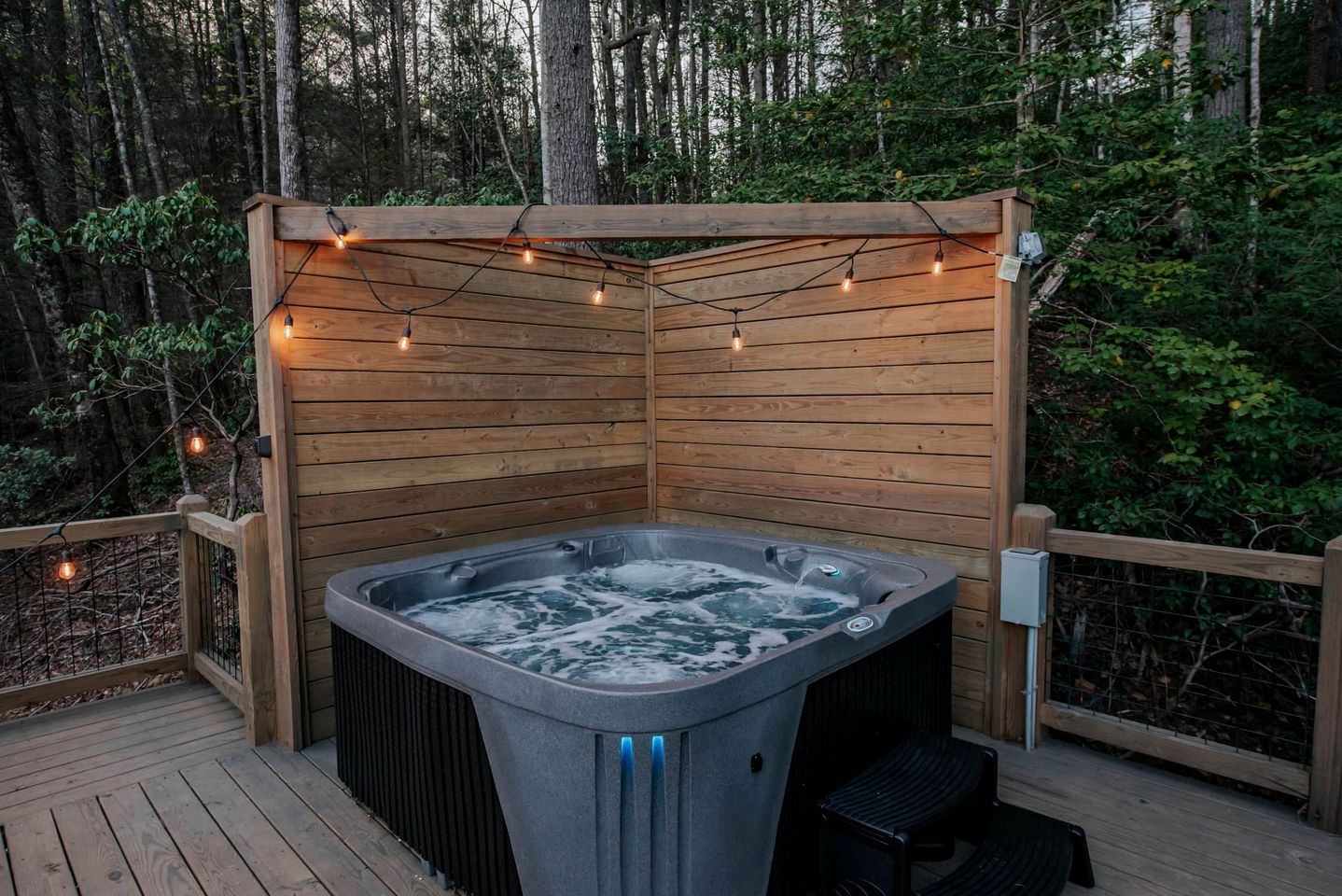 Unmatched Views Await You at this Cherry Log, Georgia Designer Dome near Fall Branch Falls