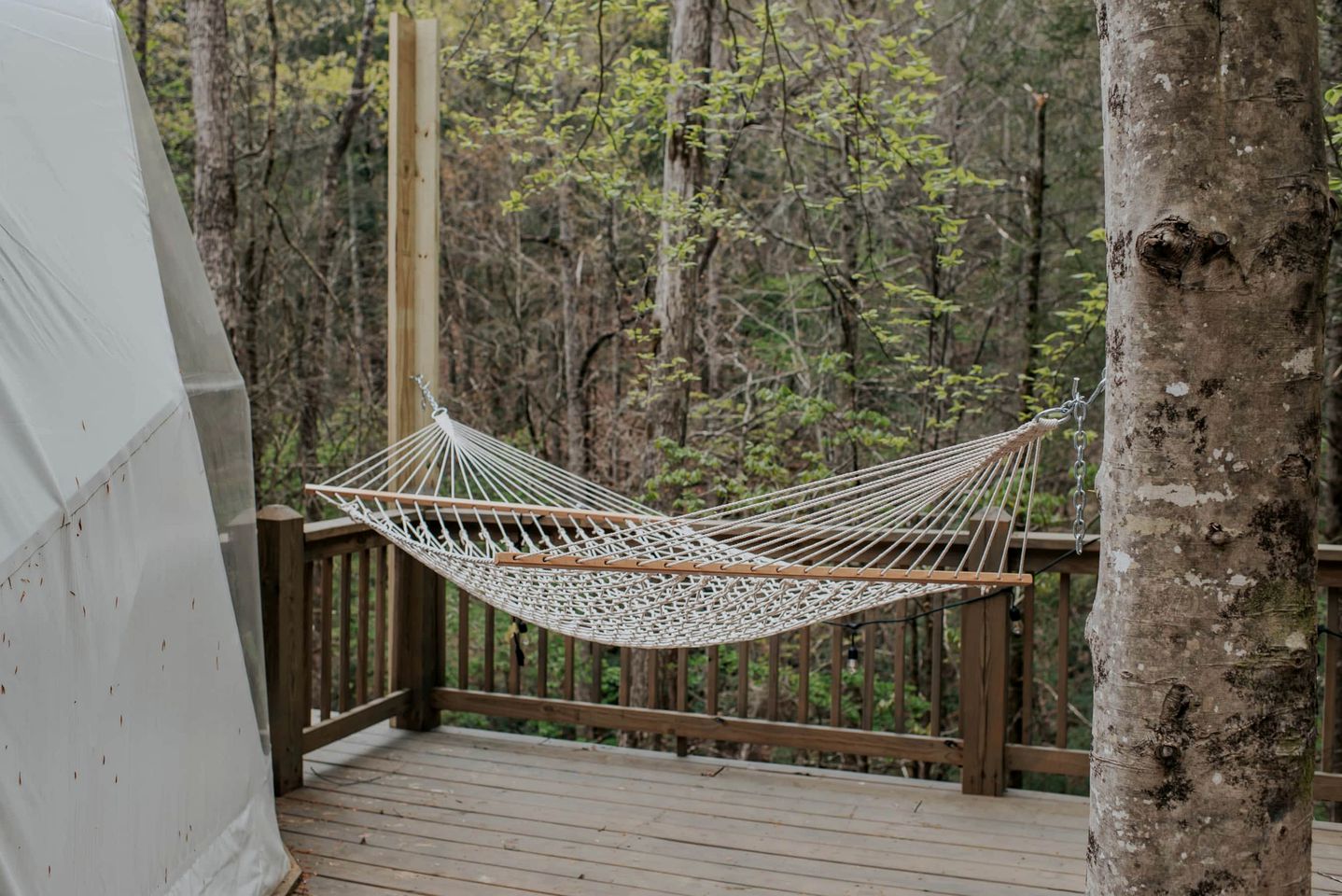 Designer Dome with Unmatched Scenery: Romantic Getaway near Falls in Cherry Log, Georgia