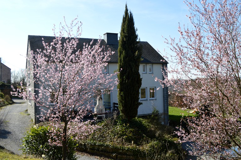 Bubbles & Domes (Wanze, Wallonia, Belgium)