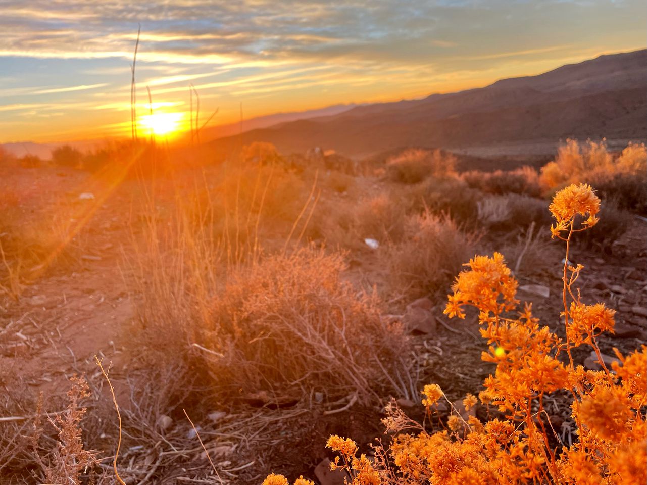 Dome Rental with Stunning Mountain Views in the Nevada Desert for an Unforgettable Las Vegas Glamping Trip