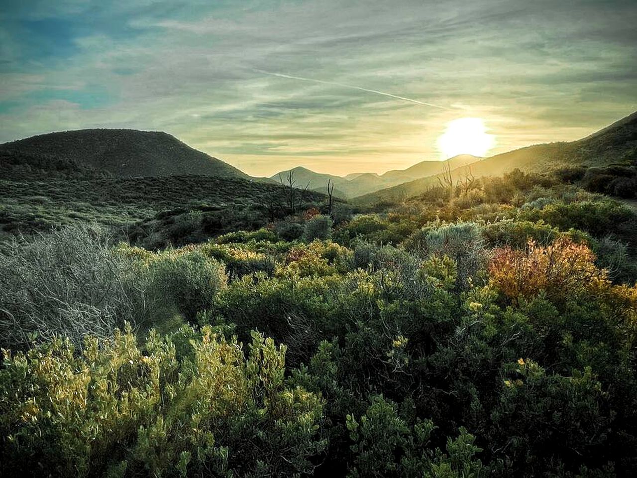 Dome Rental with Stunning Mountain Views in the Nevada Desert for an Unforgettable Las Vegas Glamping Trip