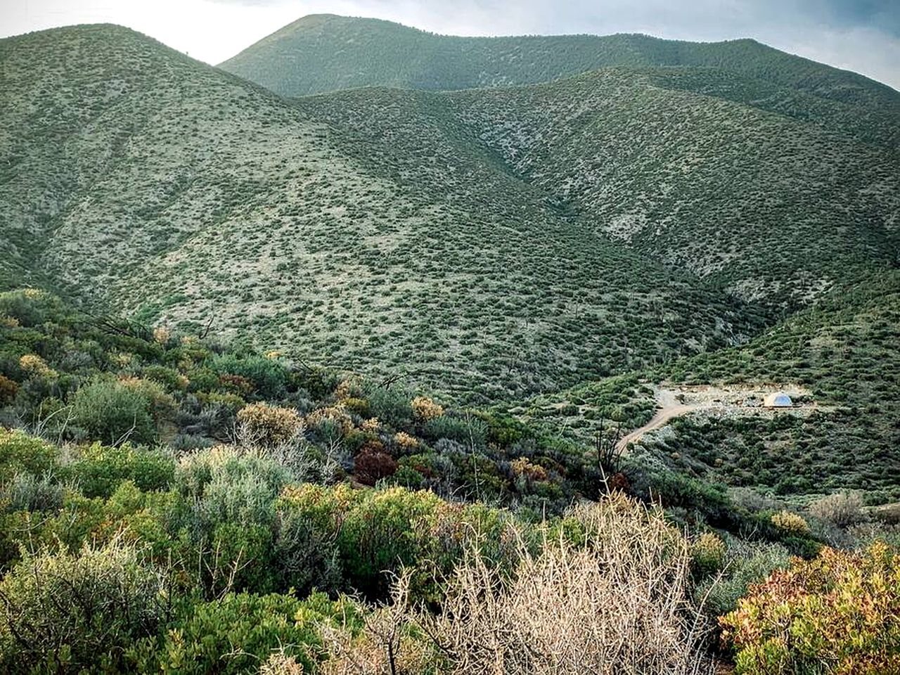 Dome Rental with Stunning Mountain Views in the Nevada Desert for an Unforgettable Las Vegas Glamping Trip