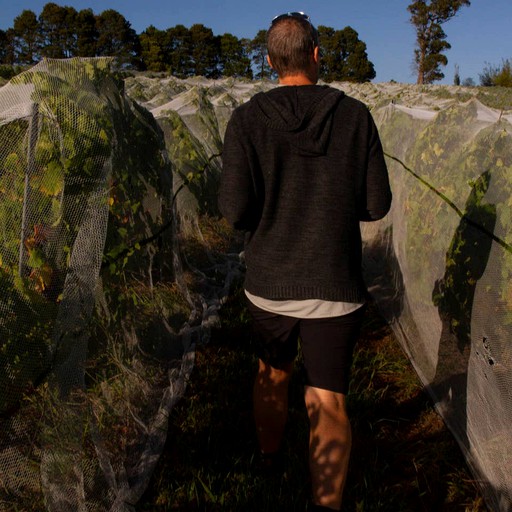 Bubbles & Domes (Sidmouth, Tasmania, Australia)