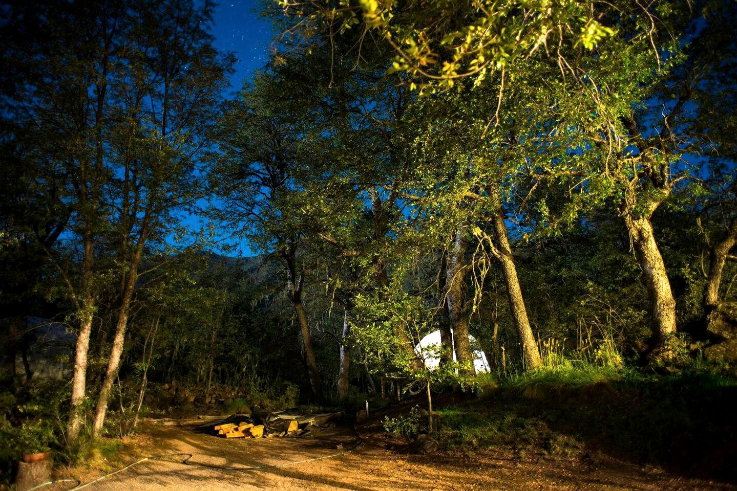 Luxury Glamping Dome near the Famous Nevados de Chillán in Chile