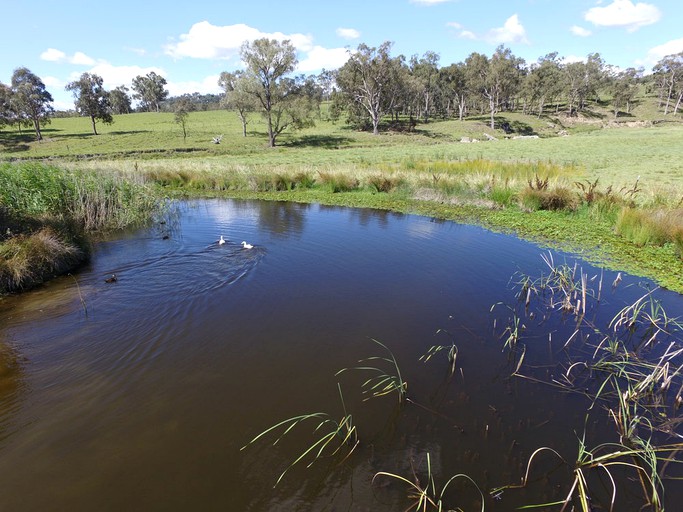 Cottages (Tenterfield, New South Wales, Australia)