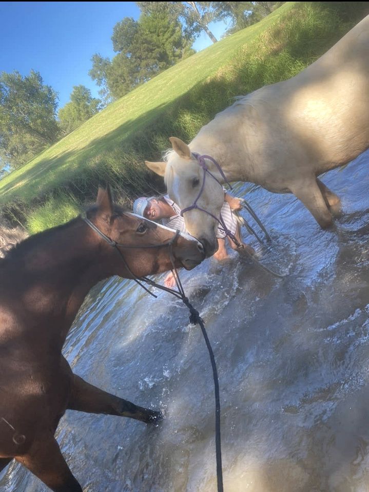 Countryside Tiny House Well Equipped in Werris Creek, New South Wales