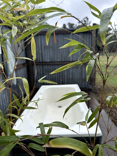 Tiny Houses (Australia, Werris Creek, New South Wales)