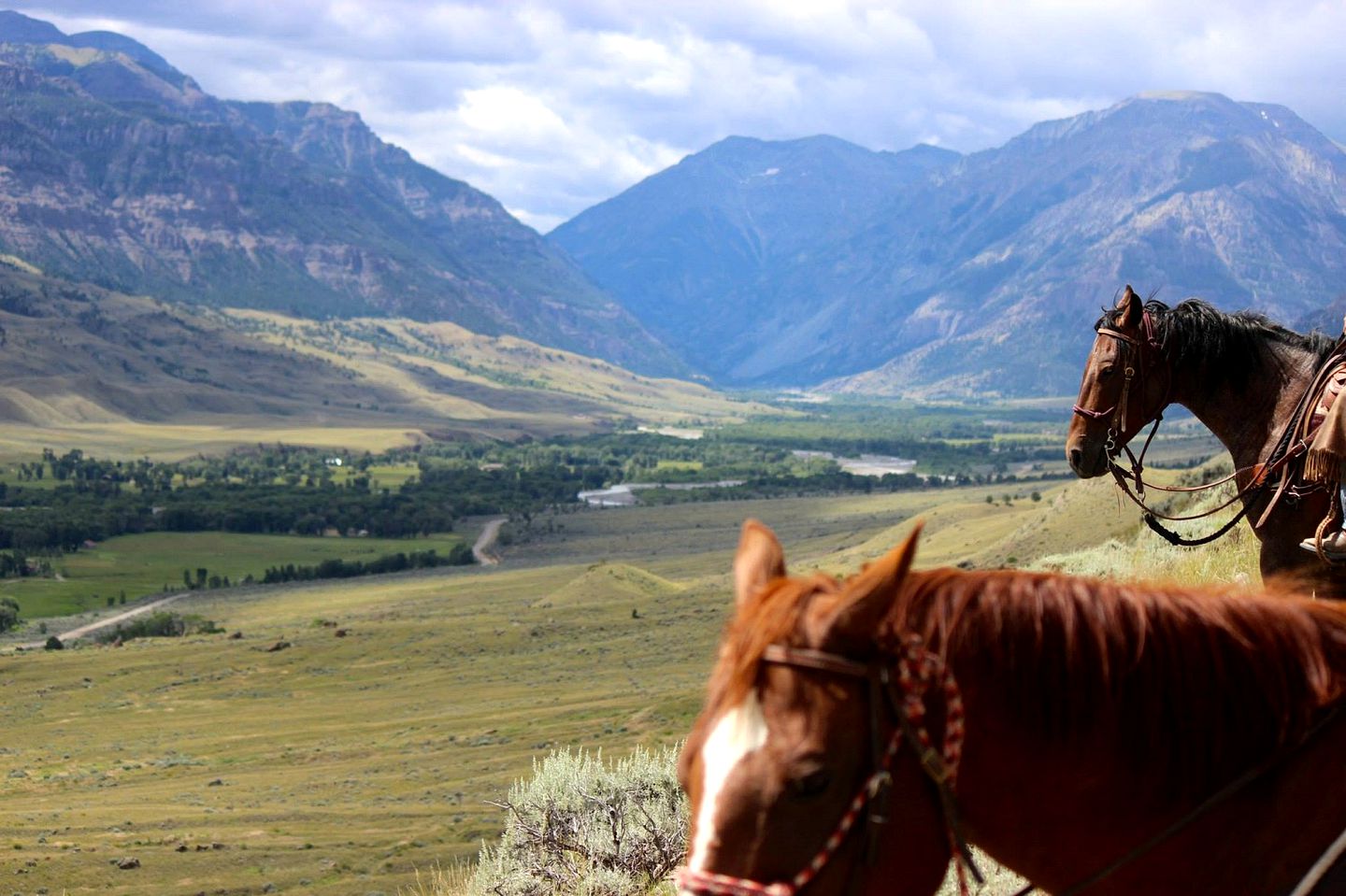 Rustic Log Cabin Rental for Six on the Shoshone River in Wyoming