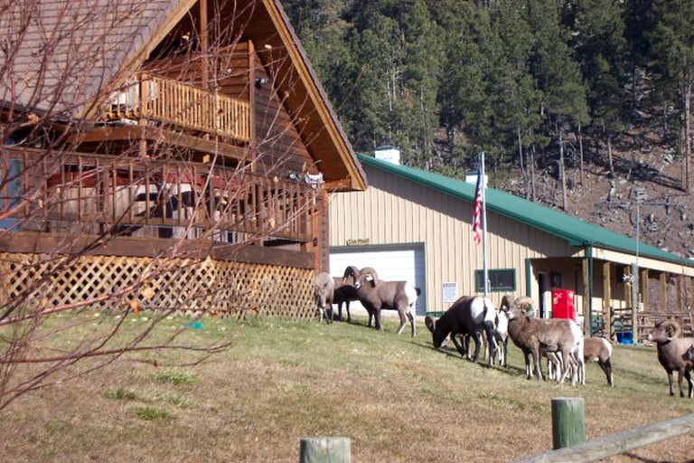 A-Frame Cabins (Rapid City, South Dakota, United States)