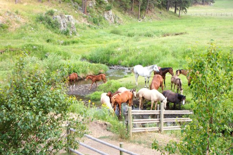 Nature Lodges (Rapid City, South Dakota, United States)