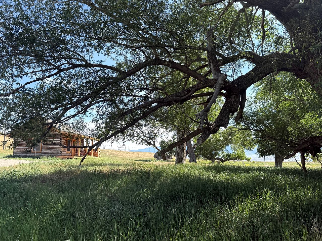 Charming Cabin with Pond and Mountain Views near Downtown Ennis, Montana