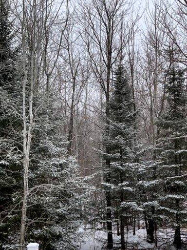 Vacation Rentals (Esko, Minnesota, United States of America)