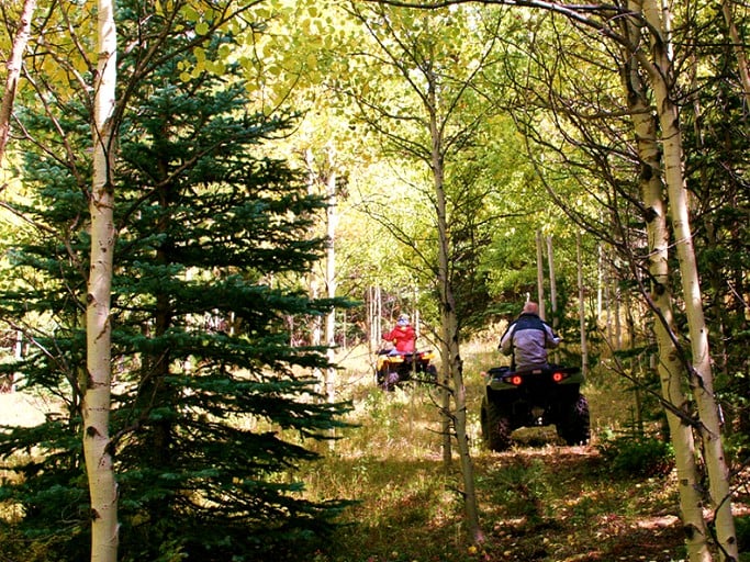 Vacation Rentals (Black Hawk, Colorado, United States)