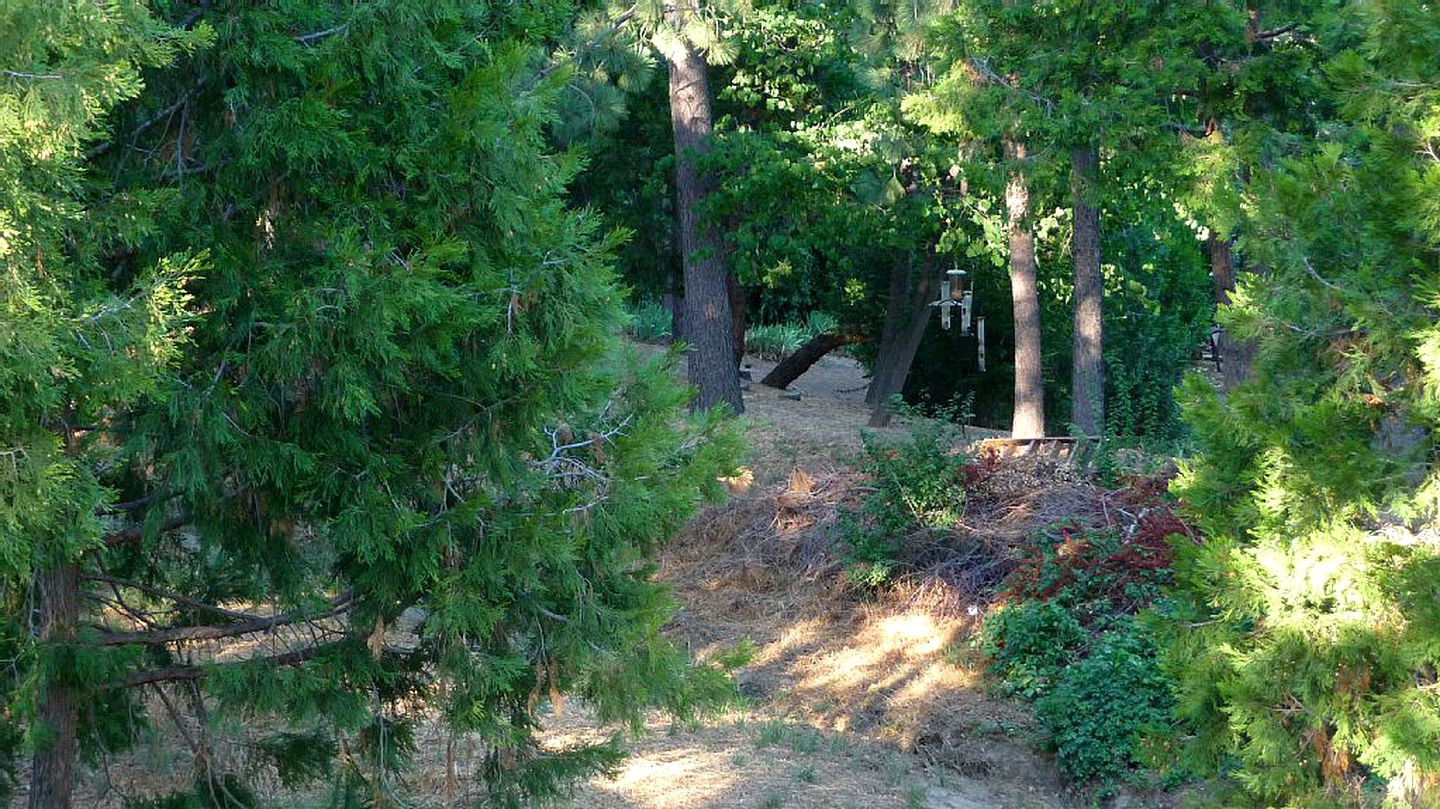 Luxury Cabin Rental Southern California