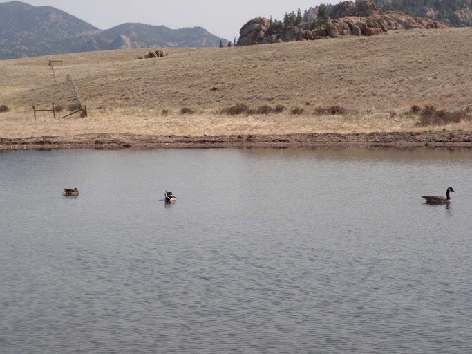 Vacation Rentals (Florissant, Colorado, United States)