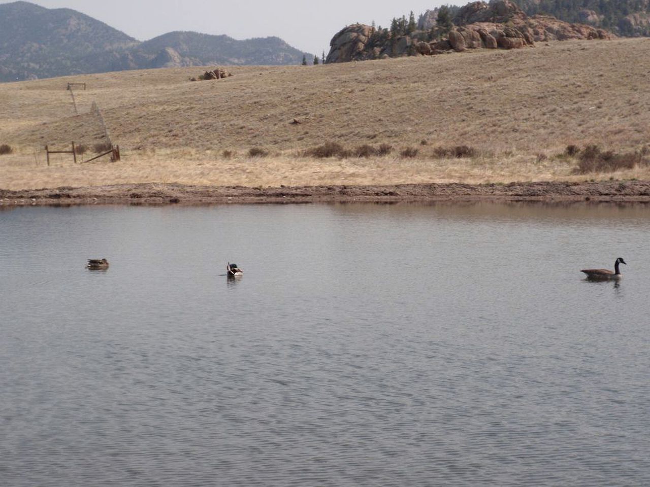 Dream Stream Retreat on the Water in Eleven Mile State Park, Florissant, CO
