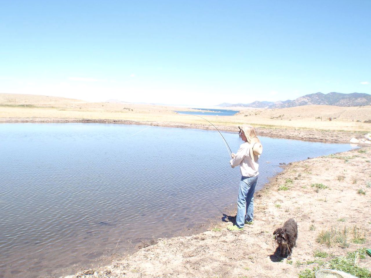 Dream Stream Retreat on the Water in Eleven Mile State Park, Florissant, CO
